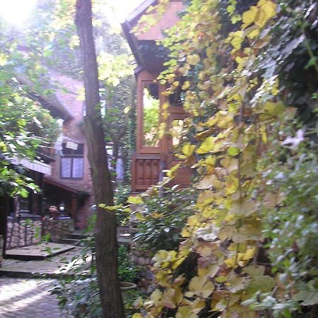 Gite Le Riesling Bergheim Exterior foto